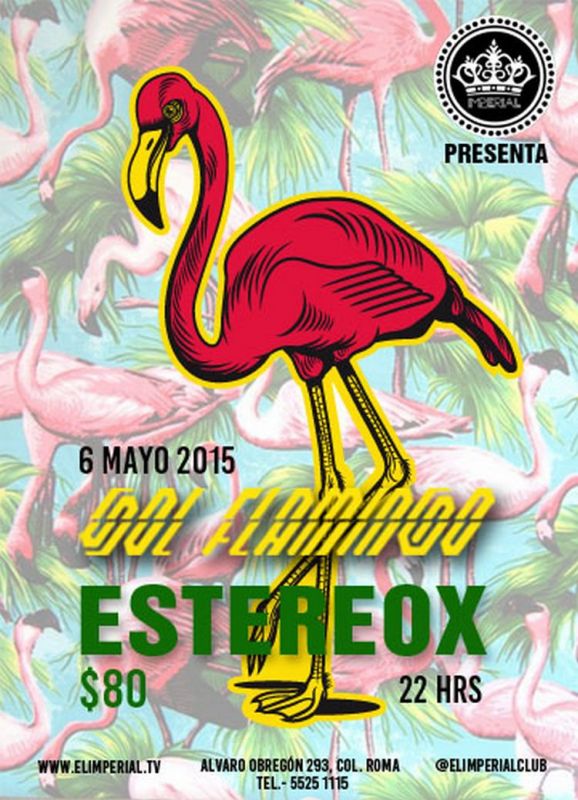 6 DE MAYO